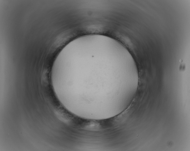 X0000092210162200709281030