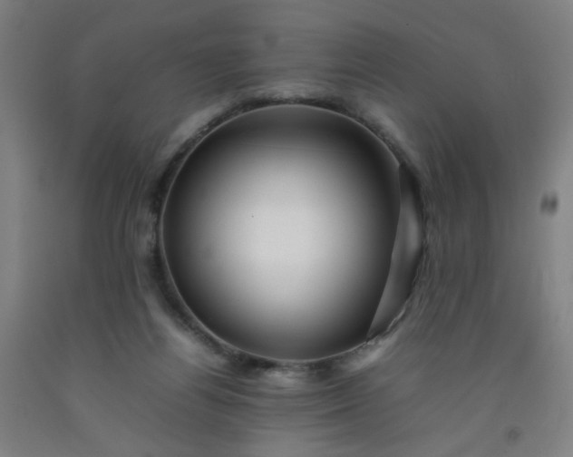 X0000092210164200709281030