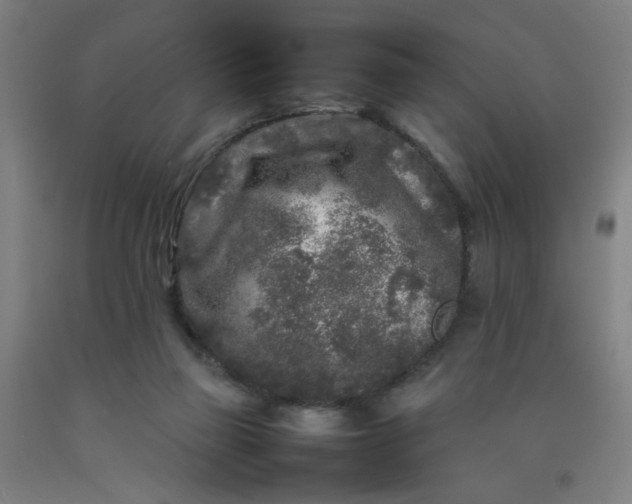 X0000092210165200709281030