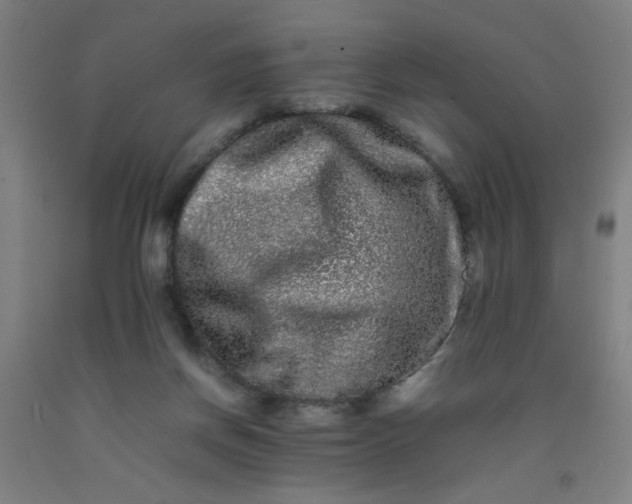 X0000092210166200709281030