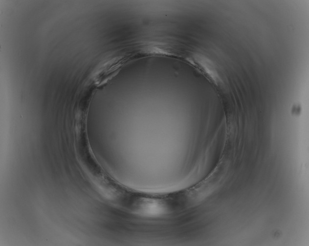 X0000092210167200709281030