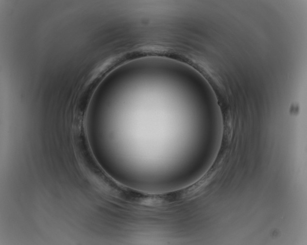 X0000092210168200709281030