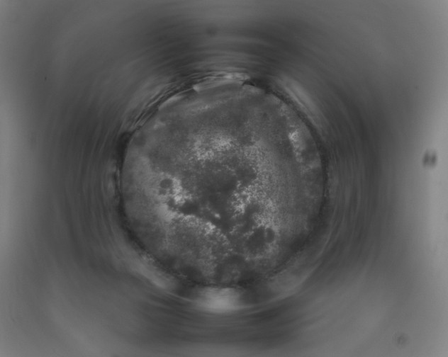 X0000092210169200709281030