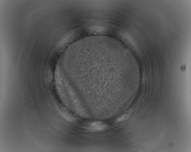 X0000092210173200709281030