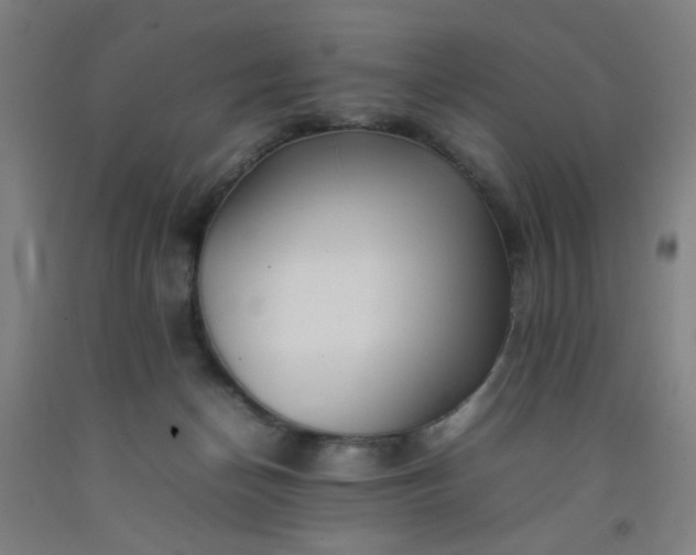 X0000092210174200709281030