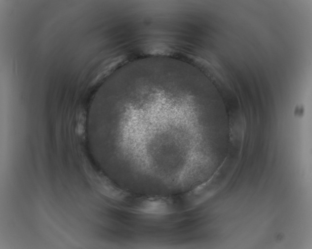 X0000092210175200709281030