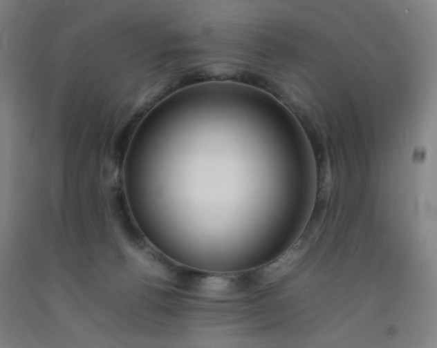 X0000092210176200709281030