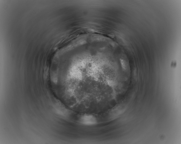 X0000092210177200709281030