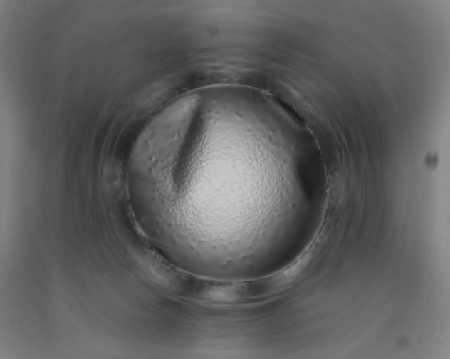 X0000092210178200709281030