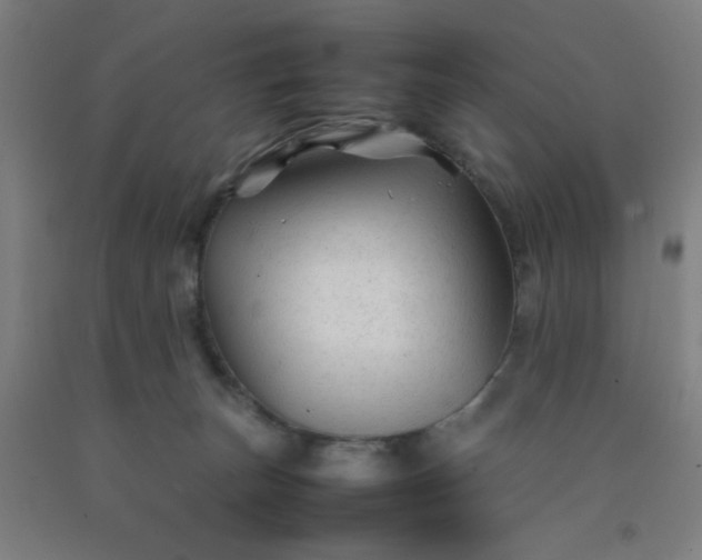 X0000092210179200709281030