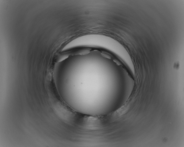 X0000092210180200709281030