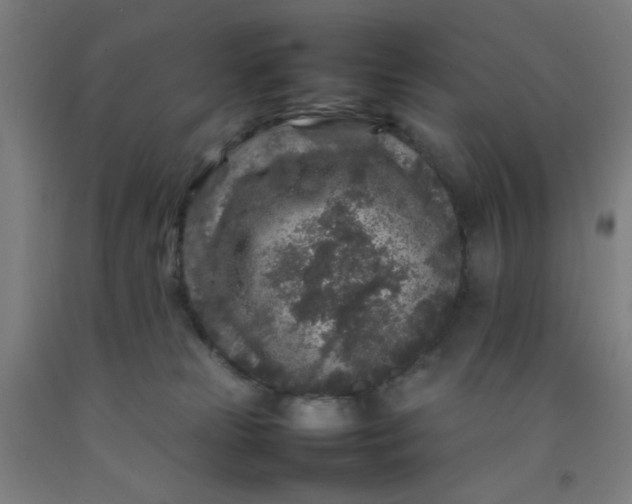 X0000092210181200709281030