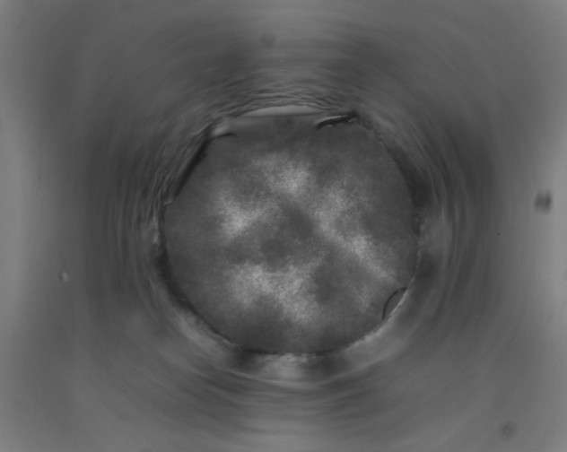 X0000092210182200709281030