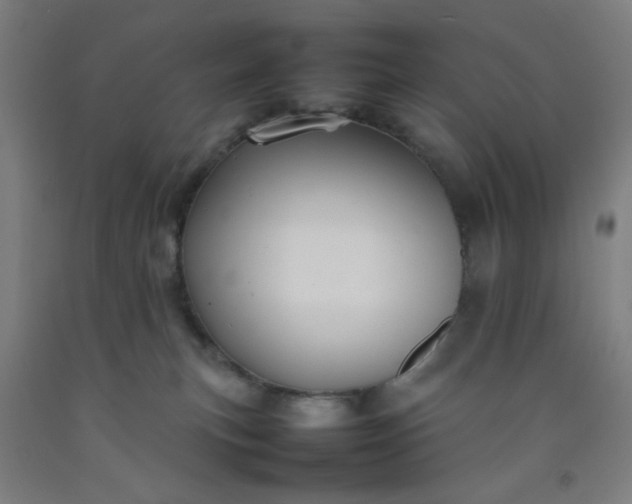 X0000092210183200709281030