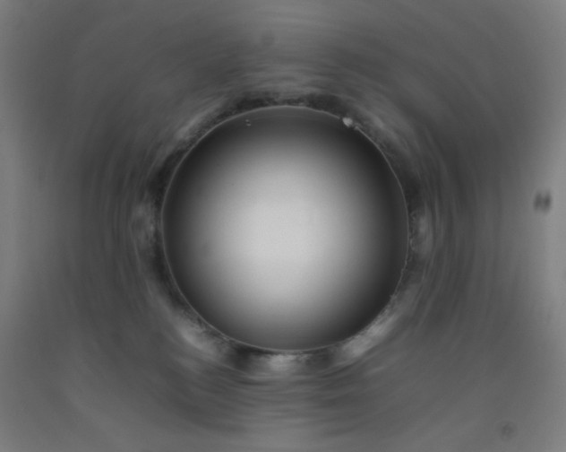 X0000092210184200709281030