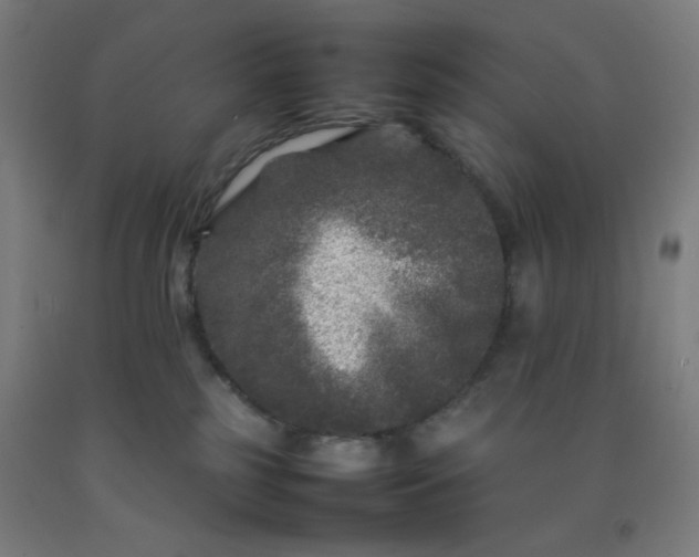 X0000092210185200709281030