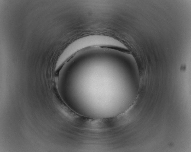 X0000092210186200709281030