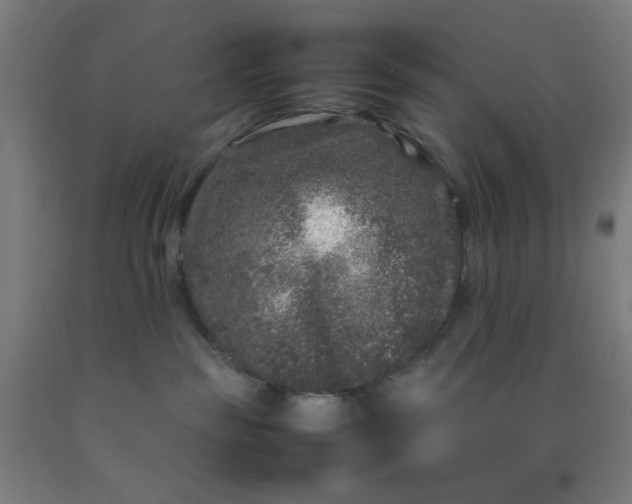 X0000092210189200709281030