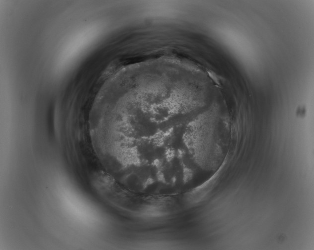 X0000092210191200709281030