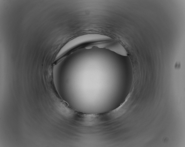 X0000092210192200709281030