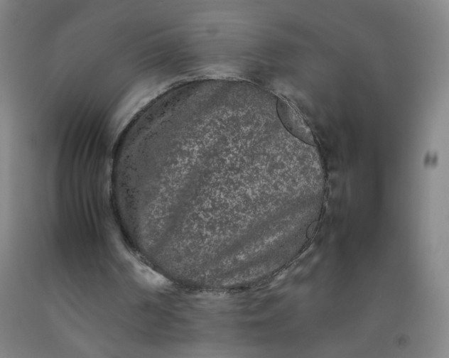 X0000092210194200709281030