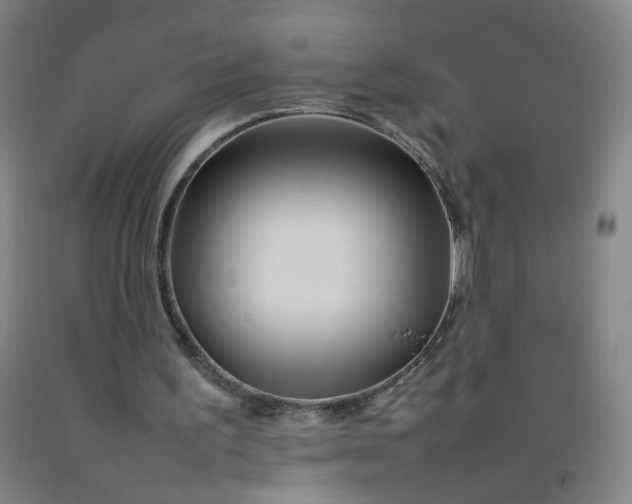 X0000092210195200709281030