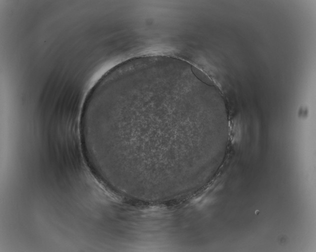 X0000092210196200709281030