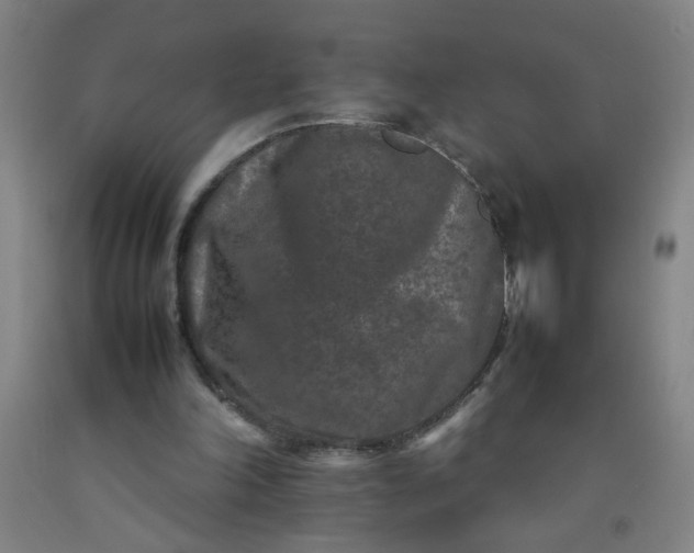 X0000092210198200709281030