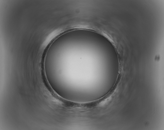 X0000092210199200709281030