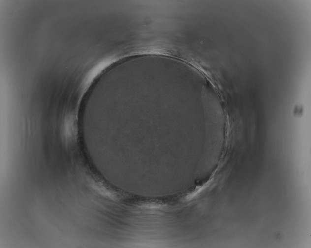 X0000092210200200709281030