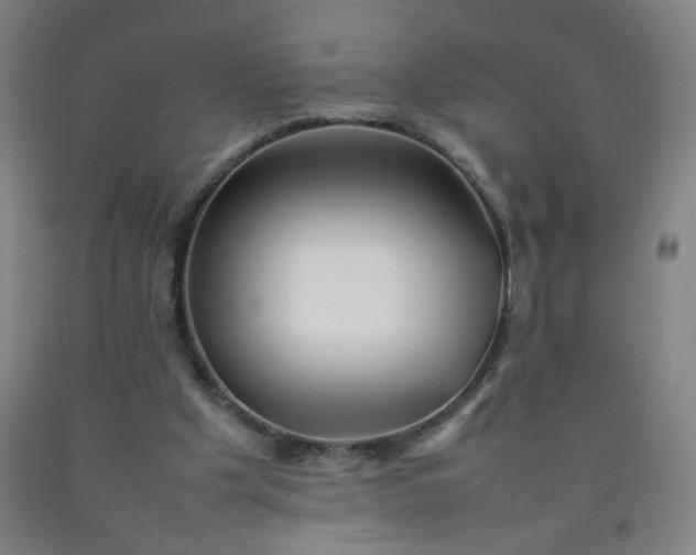 X0000092210201200709281030