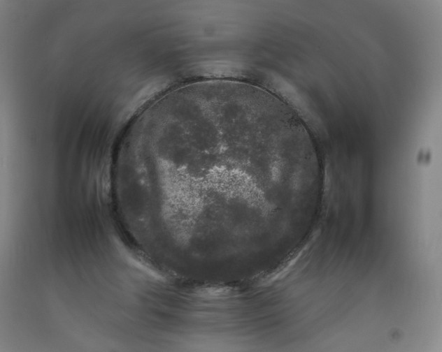 X0000092210202200709281030