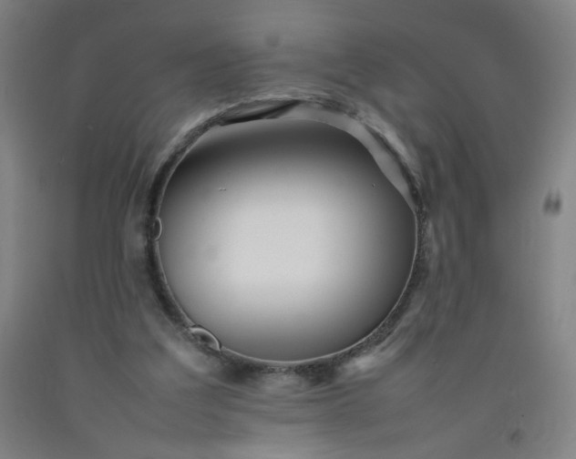 X0000092210203200709281030