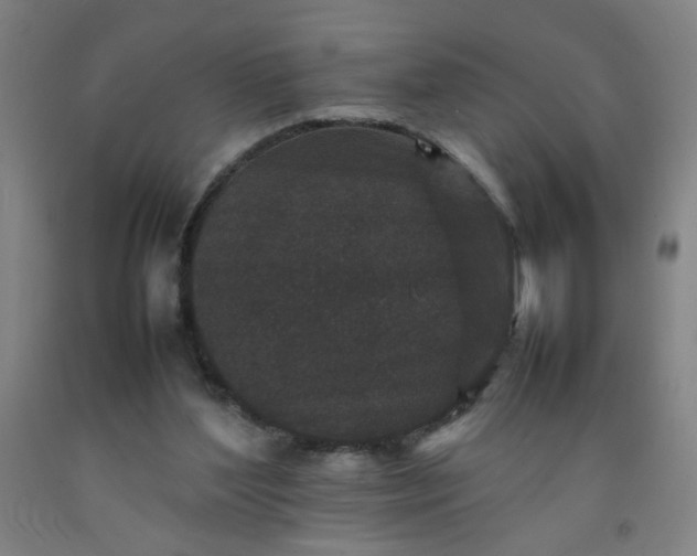 X0000092210204200709281030