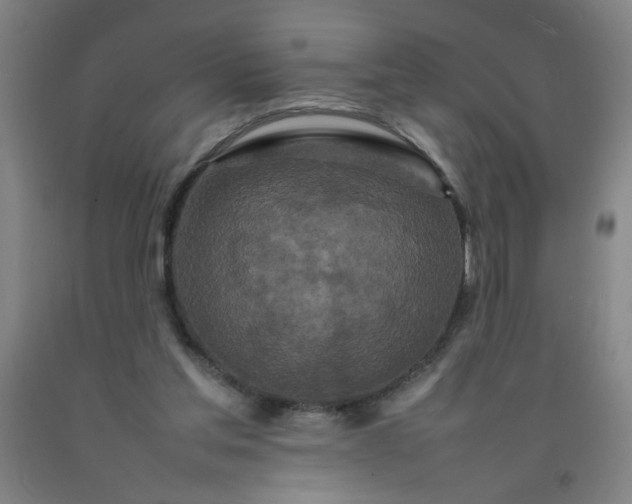 X0000092210205200709281030