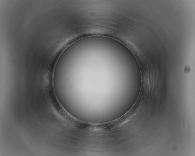 X0000092210208200709281030