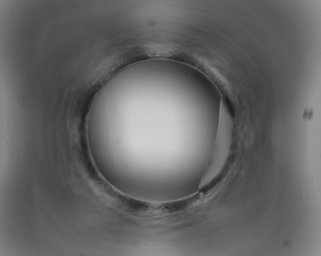 X0000092210209200709281030