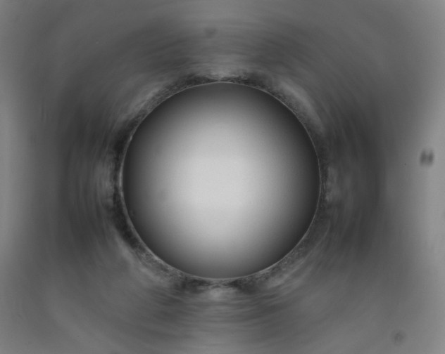 X0000092210210200709281030