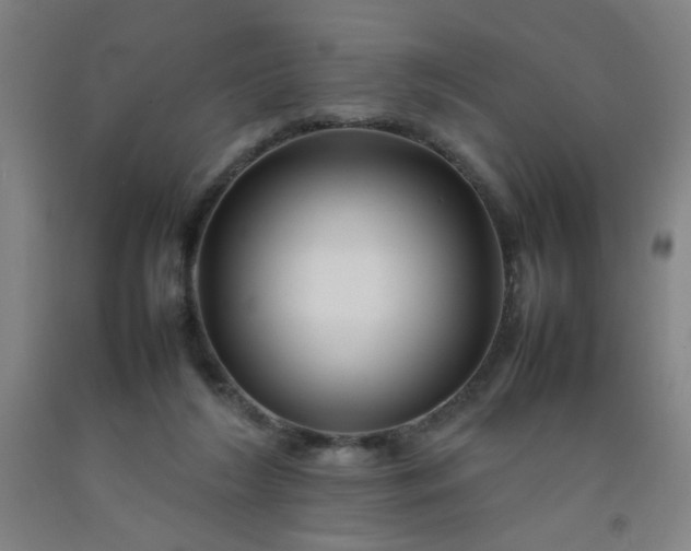 X0000092210212200709281030