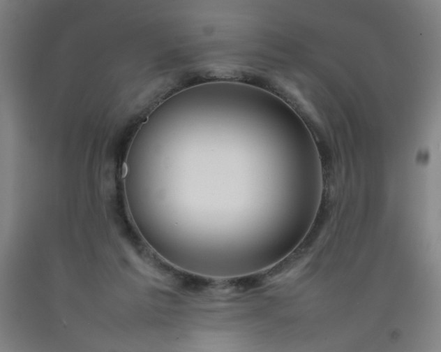 X0000092210213200709281030