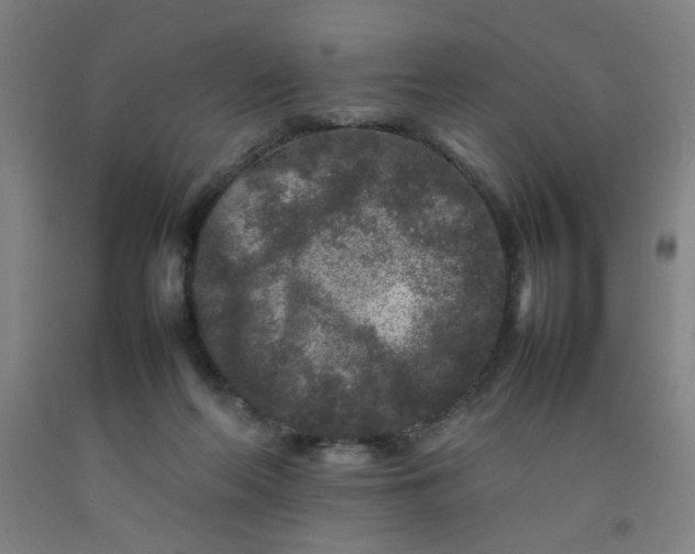 X0000092210214200709281030