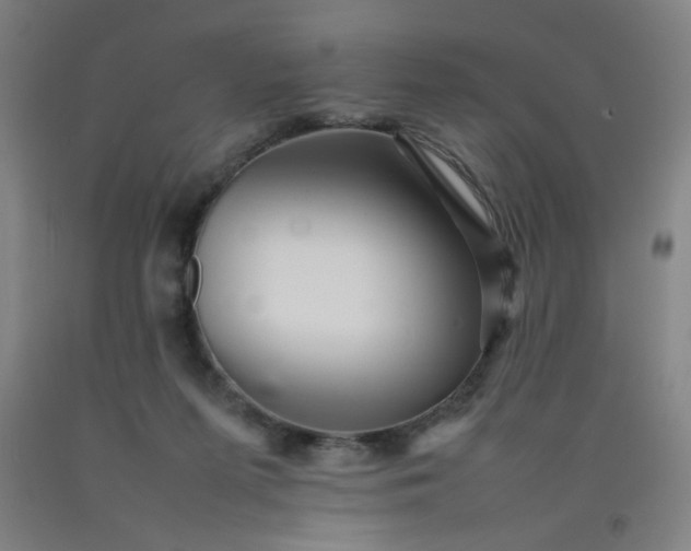 X0000092210215200709281030