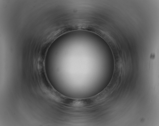 X0000092210218200709281030