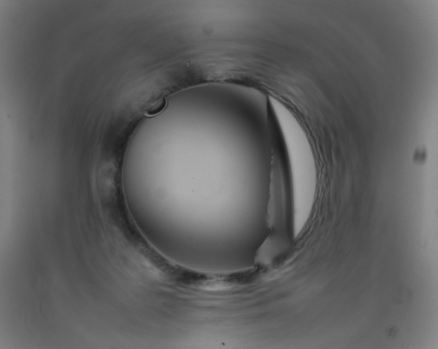 X0000092210219200709281030