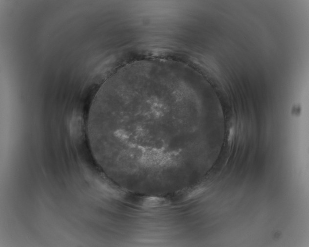 X0000092210222200709281030