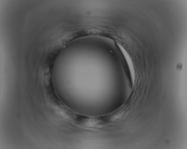 X0000092210223200709281030