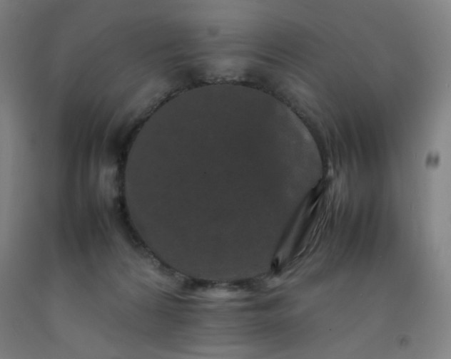 X0000092210224200709281030