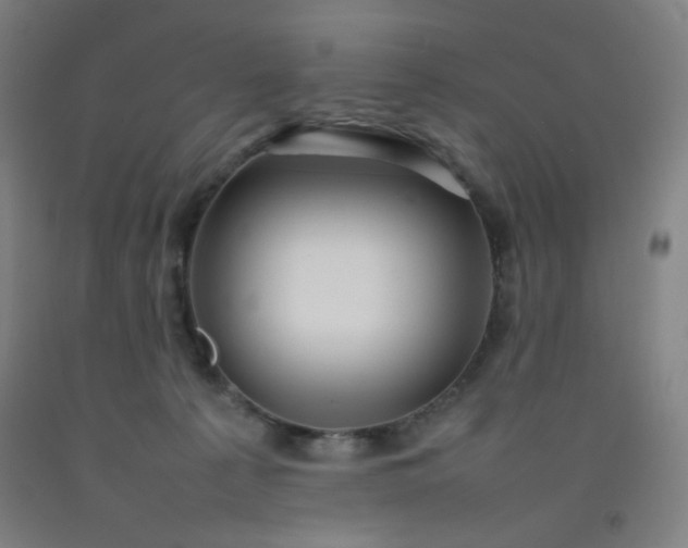 X0000092210225200709281030