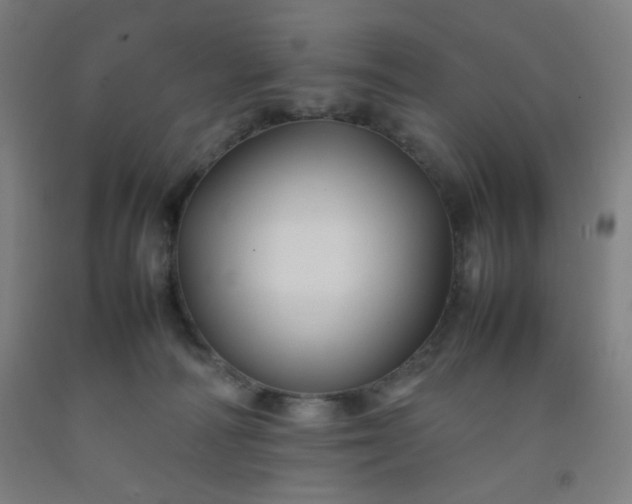 X0000092210226200709281029