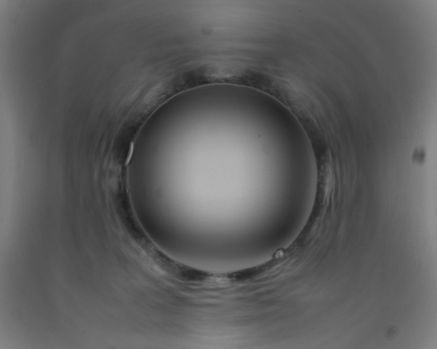 X0000092210227200709281029